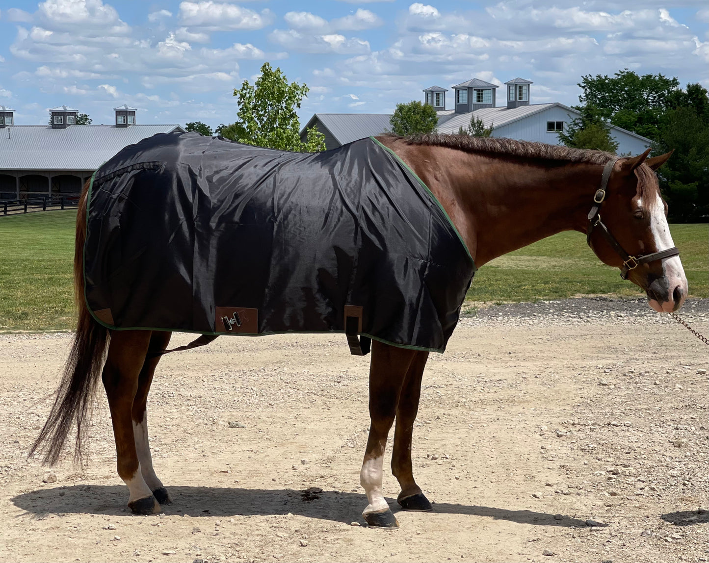 Easy Equine Essentials Sheet